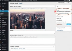 videoweb-1