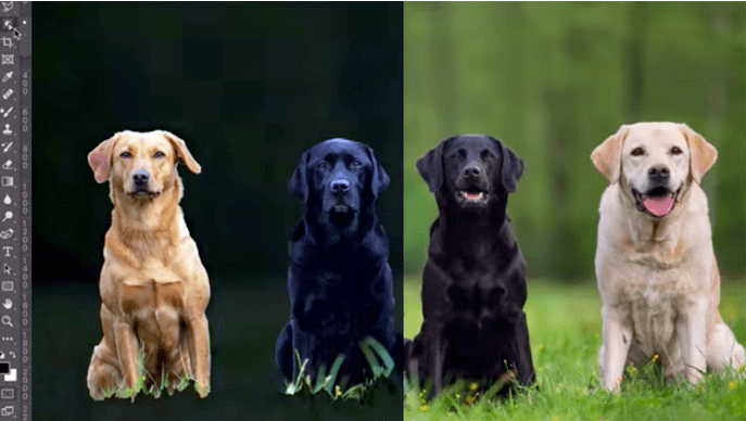 Photoshop